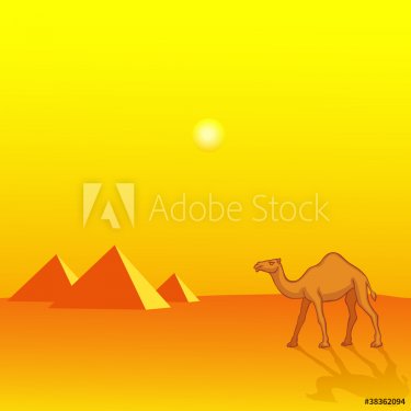 Camel and pyramids - 900498521