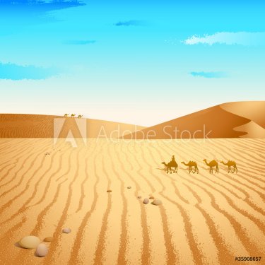 Camel in Desert - 900488376