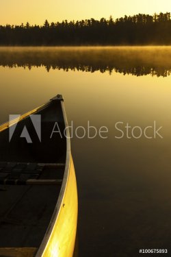 Canoe overlooking tranquil foggy sunrise - vertical - 901147854