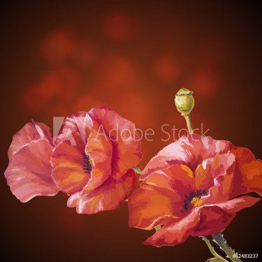 Card with poppies flowers on dark background. - 901142967