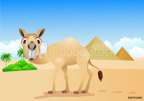 cartoon illustration of camel on desert