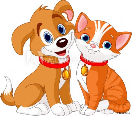 Cat and Dog - 900497826