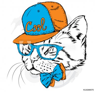 Cat in a cap and glasses. Vector illustration. - 901147672