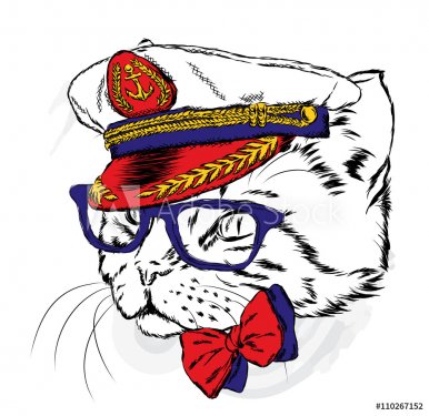 Cat in the captain's cap. Vector illustration. - 901147679