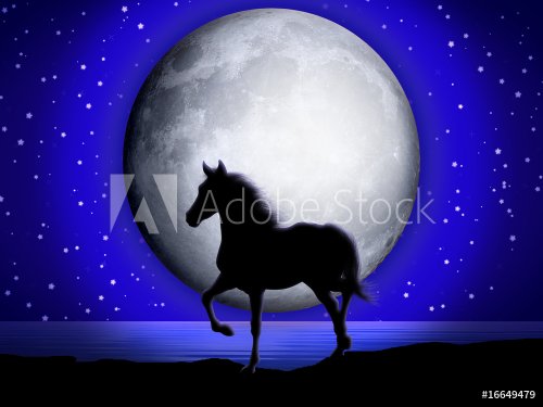 Cavallo e Luna-Horse and Moon-Cheval et Lune-2 - 900469229
