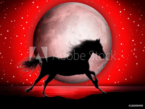Cavallo e Luna-Horse and Moon-Cheval et Lune