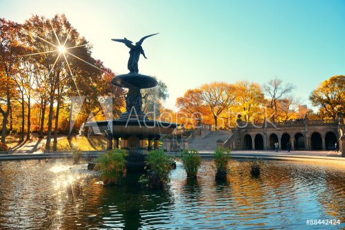 Central Park Autumn - 901146815