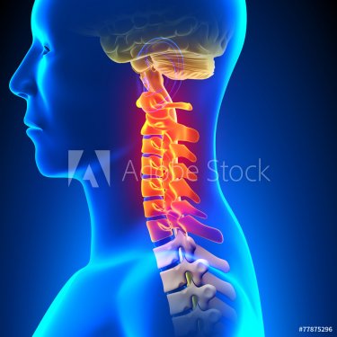 Cervical Spine Anatomy Pain concept