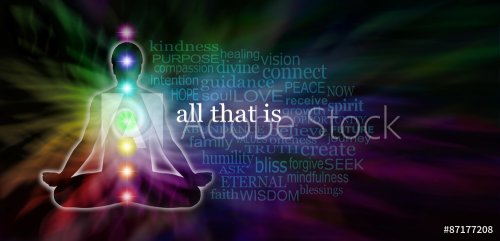 Chakra Meditation Word Cloud Website Banner - wide dark banner with rainbow colored spiral and male lotus position silhouette on left side and a transparent word cloud surrounding All That Is in white