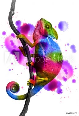  chameleon - colors - 901147752
