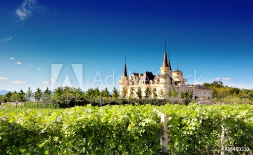 Chateau among the vines - 901100984