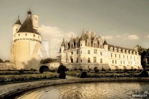 chenoceau castle (Loire valley France) - 900575412