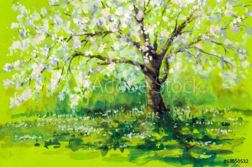 Cherry tree in spring.Watercolors