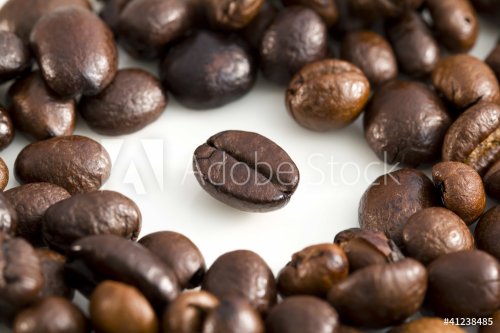 Chicchi di caffè su fondo bianco - macro