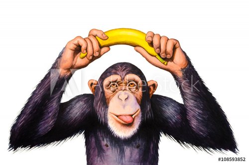 Chimpanzee holding banana hands over his head. Watercolor illustration. - 901153921