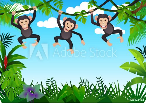 Chimpanzee in the jungle - 900461255