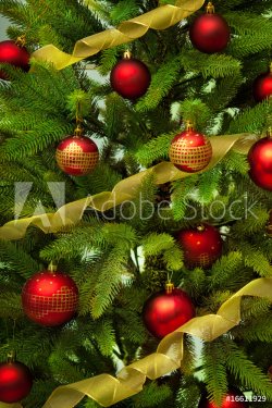 Christmas Tree and Gifts - 900636479
