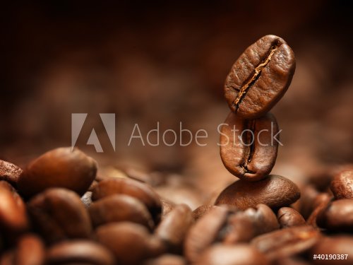 Closeup of coffee beans - 900444013