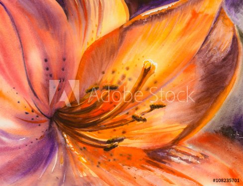 Closeup of orange lily flower.Picture created with watercolors.