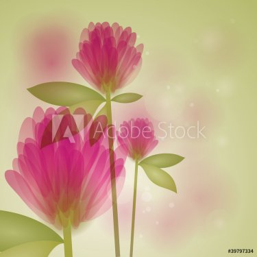 Clover / Floral fresh background - 900485070
