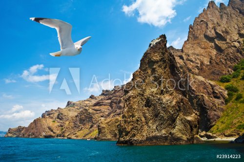 Coastal view with seagull - 900636379