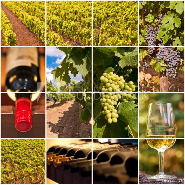 Collage vigne et vins - 901142322
