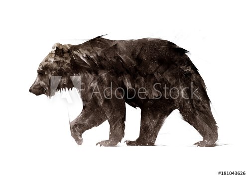 color painted a walking animal bear side - 901153436