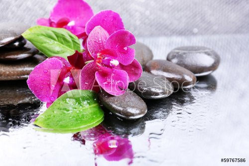 Composition with beautiful blooming orchid with water drops and - 901140902