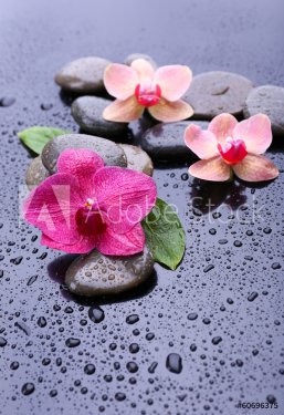Composition with beautiful blooming orchid with water drops and - 901141025