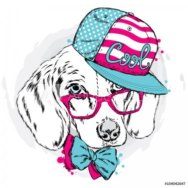 Cool dog in cap and glasses. Dog vector. Cute puppy.