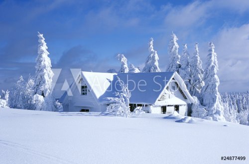 cottage in winter, Orlicke hory, Czech Republic - 900050538