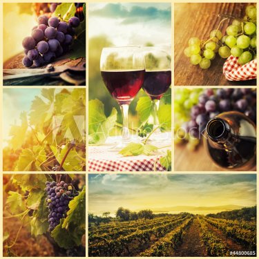 Country wine collage - 901142326