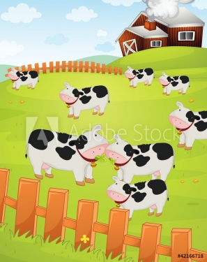 Cows in a field