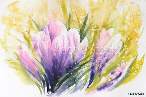 Crocus -first spring flowers.Picture created with watercolors. - 901153765