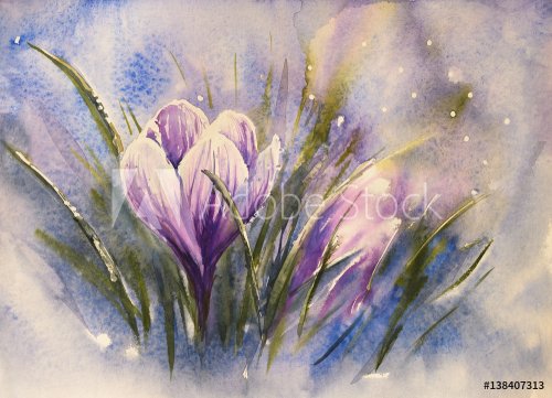 Crocus -first spring flowers.Picture created with watercolors.