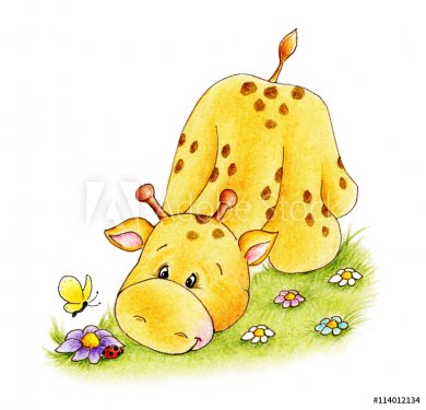 Cute baby giraffe - 901148251