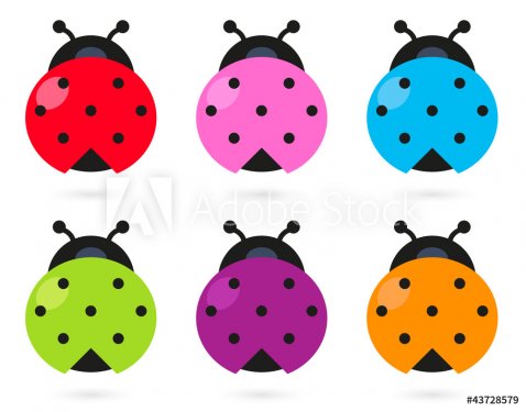 Cute colorful Ladybug set isolated on white - 900706074