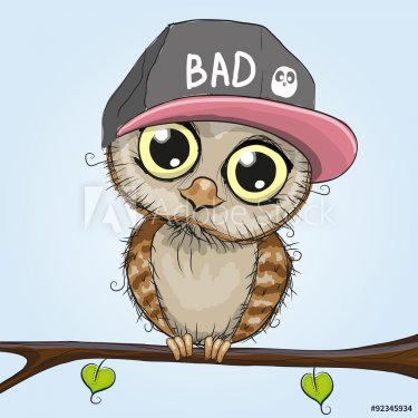 Cute Owl - 901145446