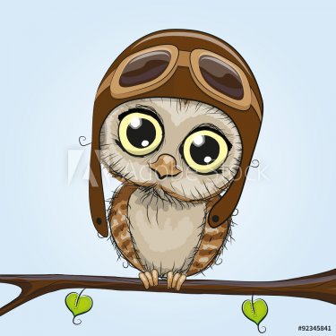 Cute Owl - 901145448