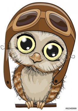 Cute Owl - 901145449