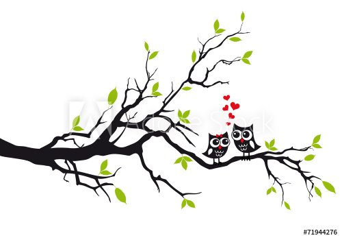 Cute owls in love on tree, vector - 901144222