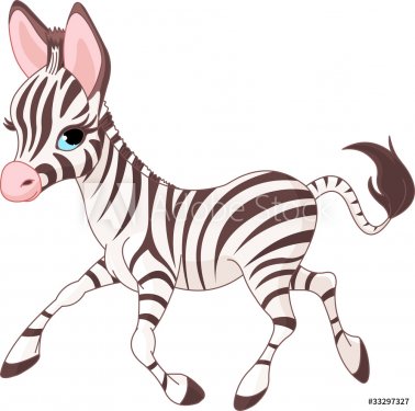 Cute  running   baby Zebra - 900497976