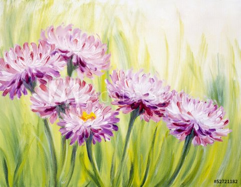 Daisy, oil painting - 901143057