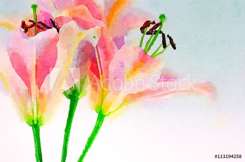Day Lillies on Paper - 901147835