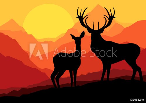 Deer family in wild mountain nature landscape background