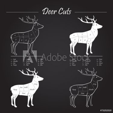 Deer meat cut scheme - elements on blackboard - 901143903
