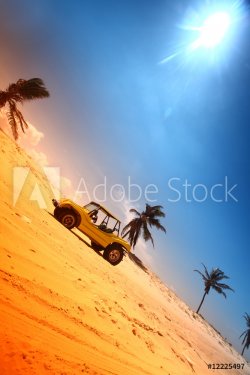desert buggy - 900458137
