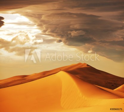 Desert on sunset - 901138508