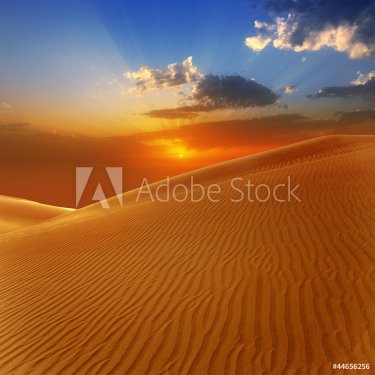 Desert sand dunes in Maspalomas Gran Canaria - 901141355