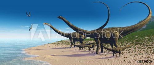 Diplodocus Herd - 901145247